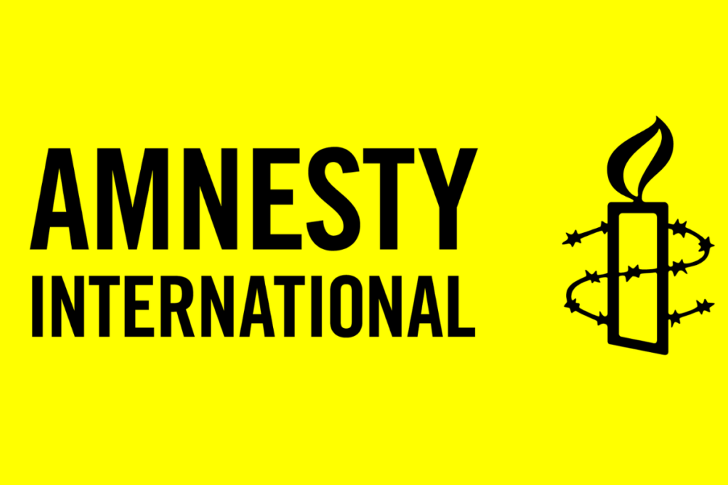 Evaluation of Amnesty International's 2022/23 Turkey Report