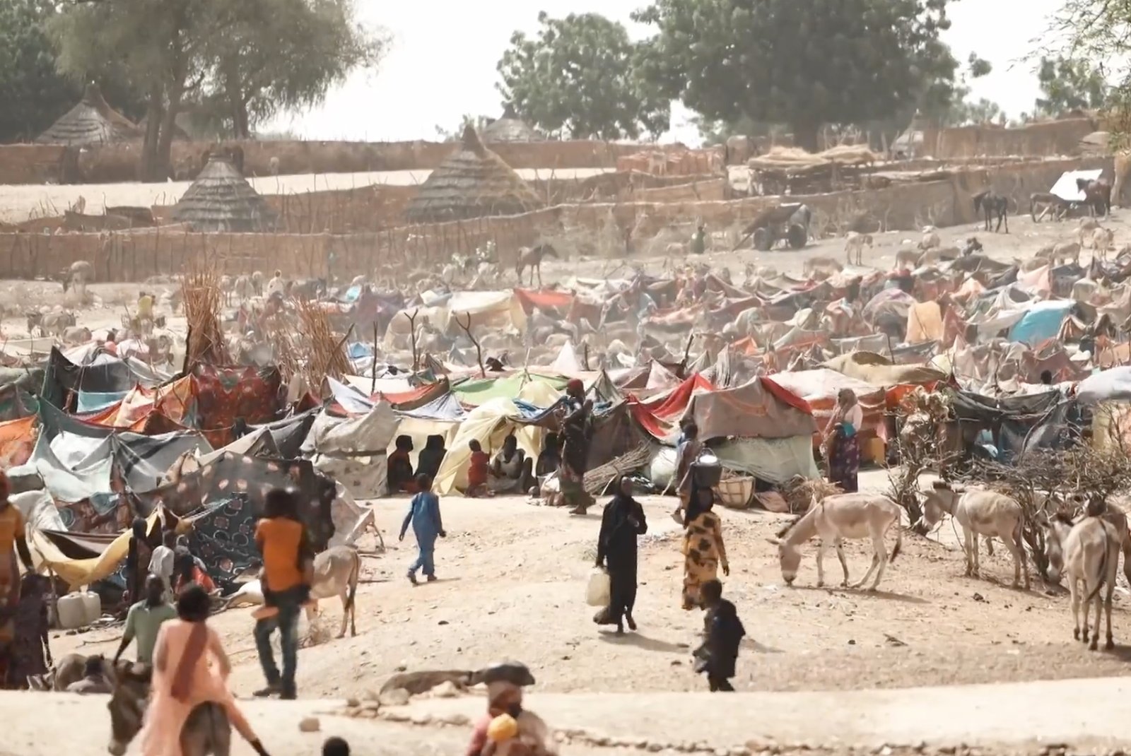 Archive photograph of a camp in Chad for people fleeing Sudan, 16 May 2023.
